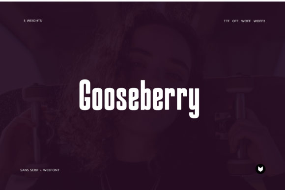Gooseberry: A Modern Display Font for Clear Campaign Messaging