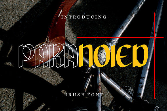 Paranoied Display Font for Bold Website Typography