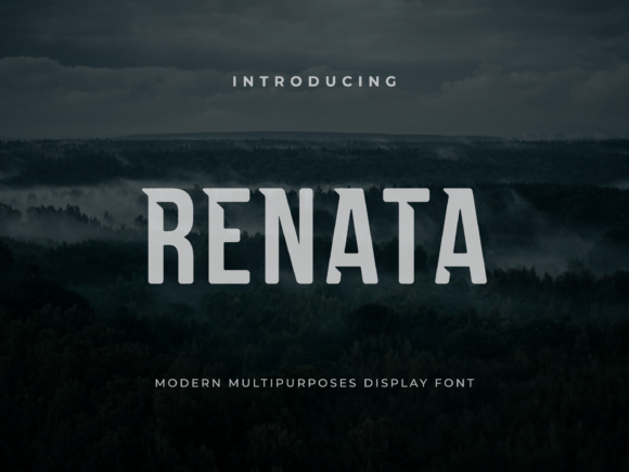 Renata Font: A Bold Display Typeface for Digital Design